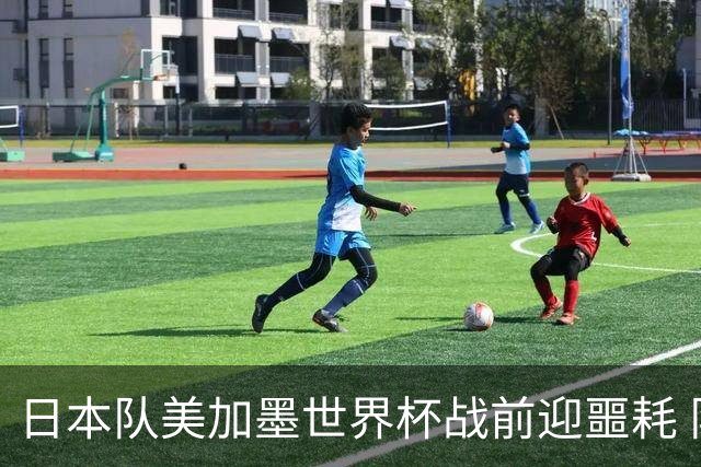 日本队美加墨世界杯战前迎噩耗 队长远藤航因伤退出