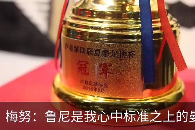 梅努：鲁尼是我心中标准之上的曼联球员 卡塞米罗和B费帮助我更多